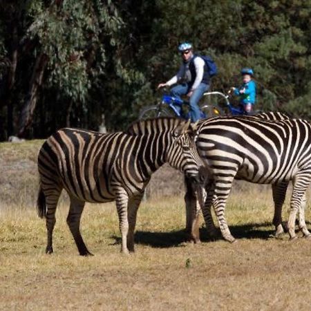 Zoofari Lodge, Taronga Western Plains Zoo Даббо Экстерьер фото