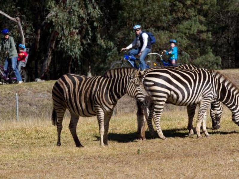 Zoofari Lodge, Taronga Western Plains Zoo Даббо Экстерьер фото