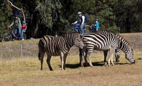 Zoofari Lodge, Taronga Western Plains Zoo Даббо Экстерьер фото